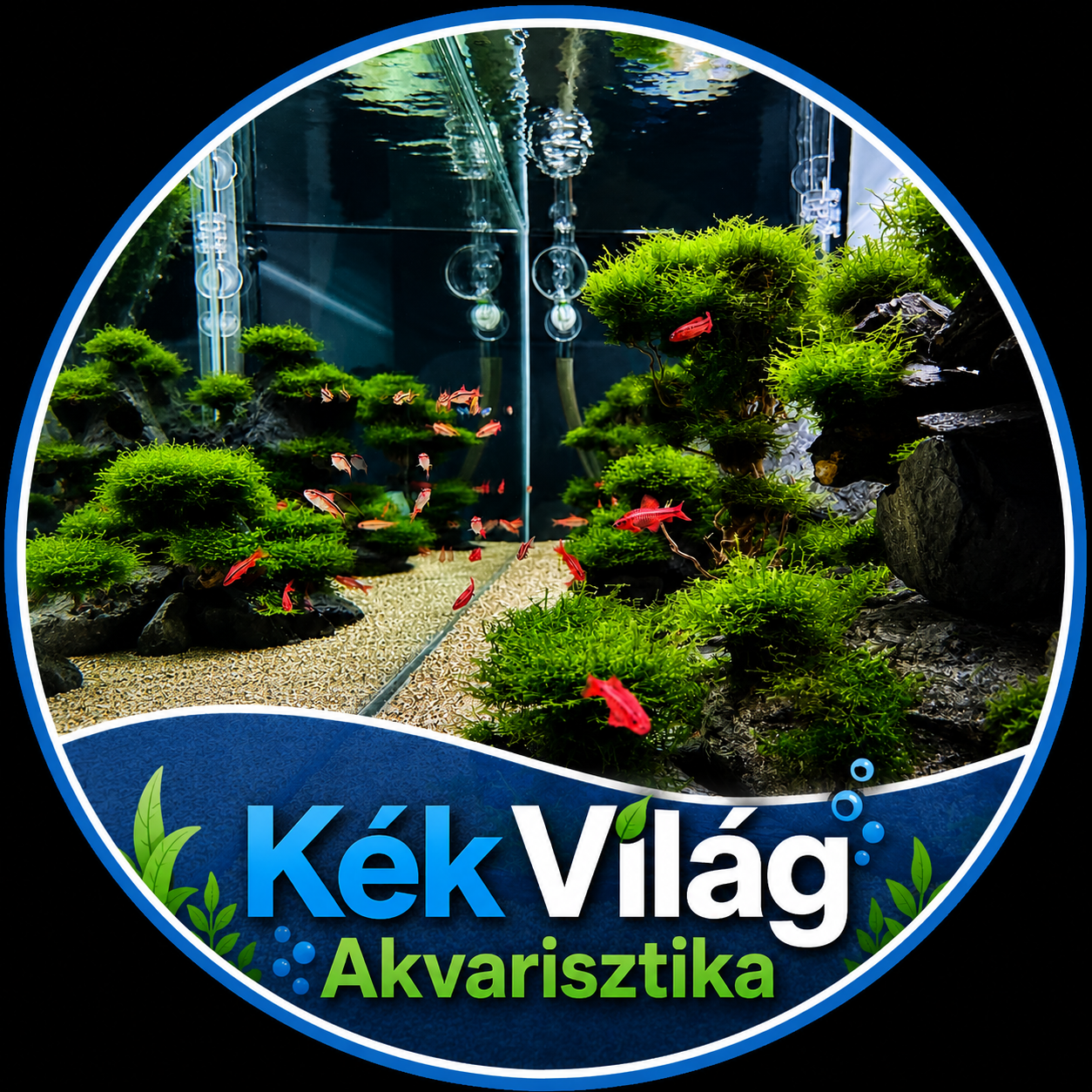 Kék világ